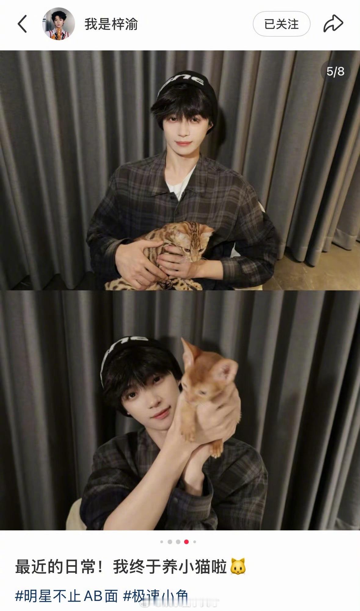 梓渝终于养猫了大猫也是养上小猫了！梓渝