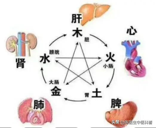 中医表里论治诀窍：脏病从腑治，一方就对症！
 
我是中医陈大夫，内容仅作为健康科