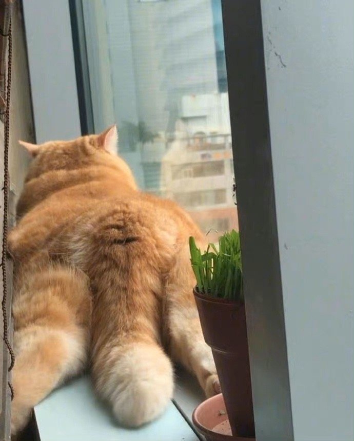 几乎任何事情都是越做越简单，越想越困难，越拖着越想放弃。——稻盛和夫 ​ ​​​