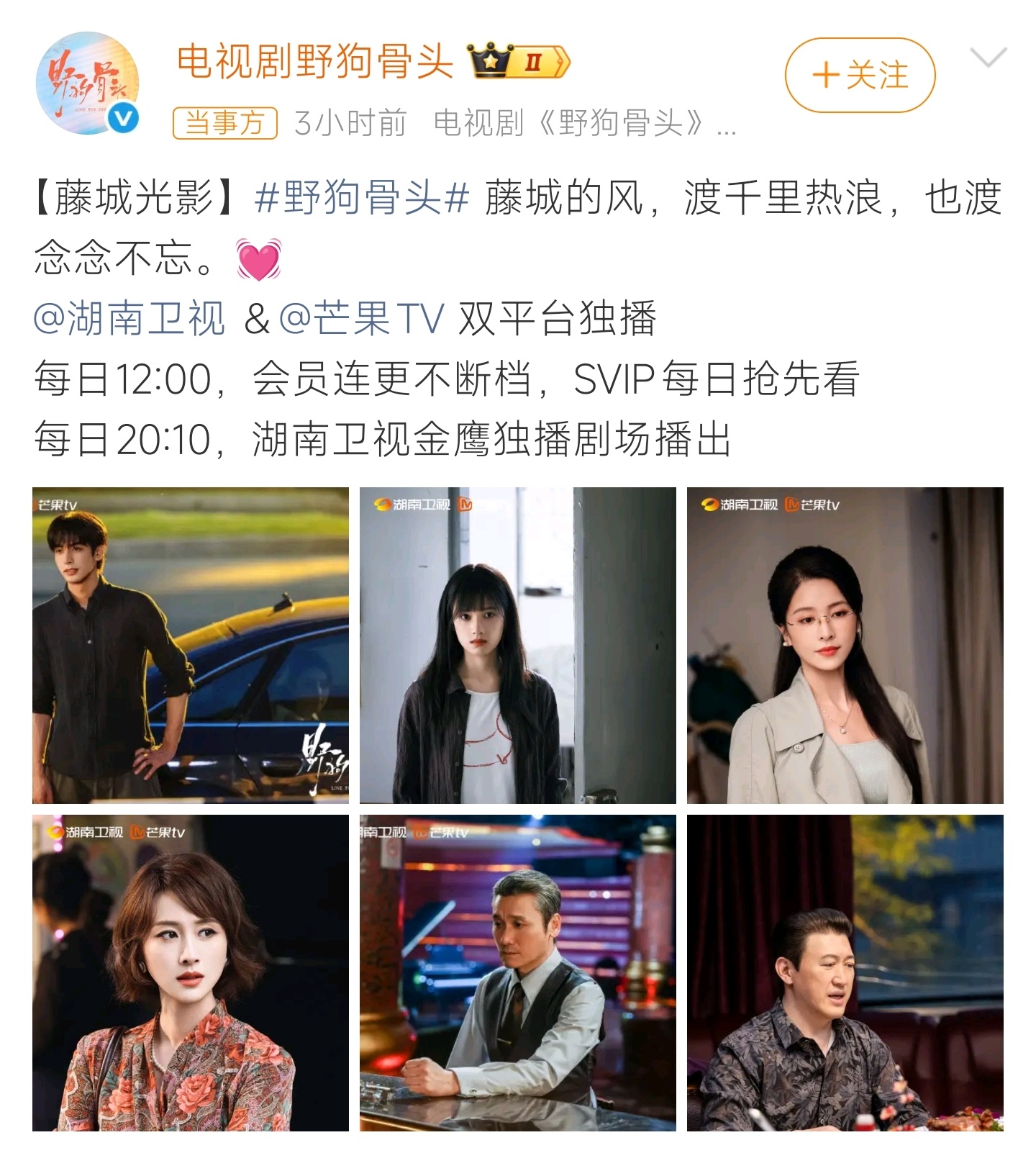 野狗骨头 影视寒冬真正的夏天影视寒冬之下《野狗骨头》热度逆势暴涨，剧集质感上乘，