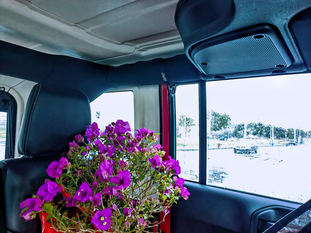 【原创】
给老房子增加一点色彩，是不是会灵动一些……
冒雨去花店，效果还不错
徽