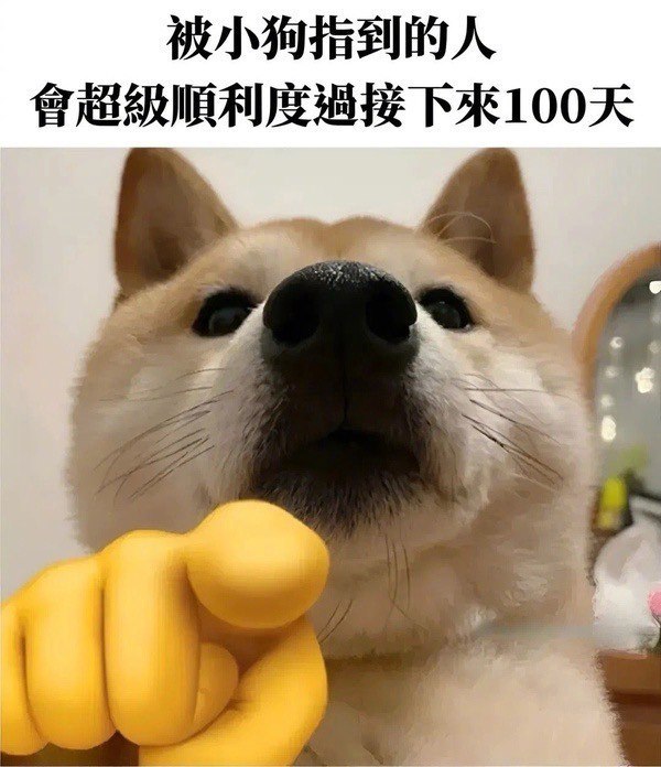 谢谢小狗！ ​​​