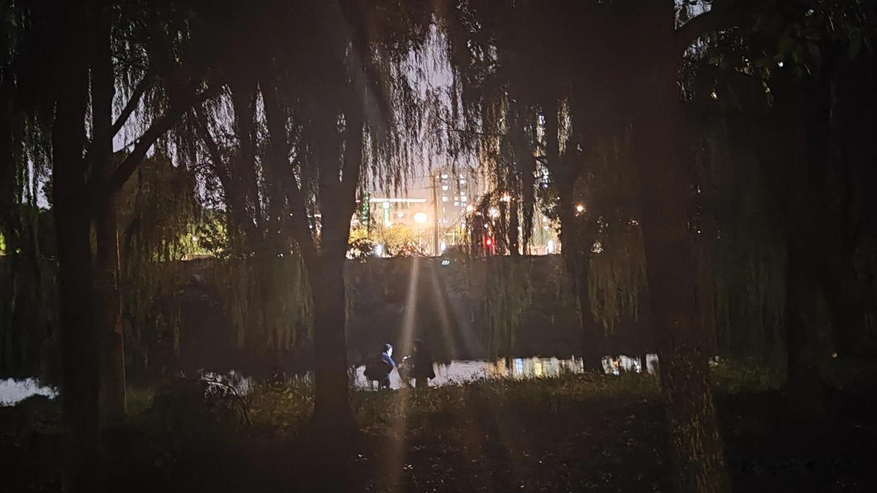 钓鱼真的有这么大的吸引力吗？

现在晚上户外只有17度，已经稍微有点冷了。依然浇