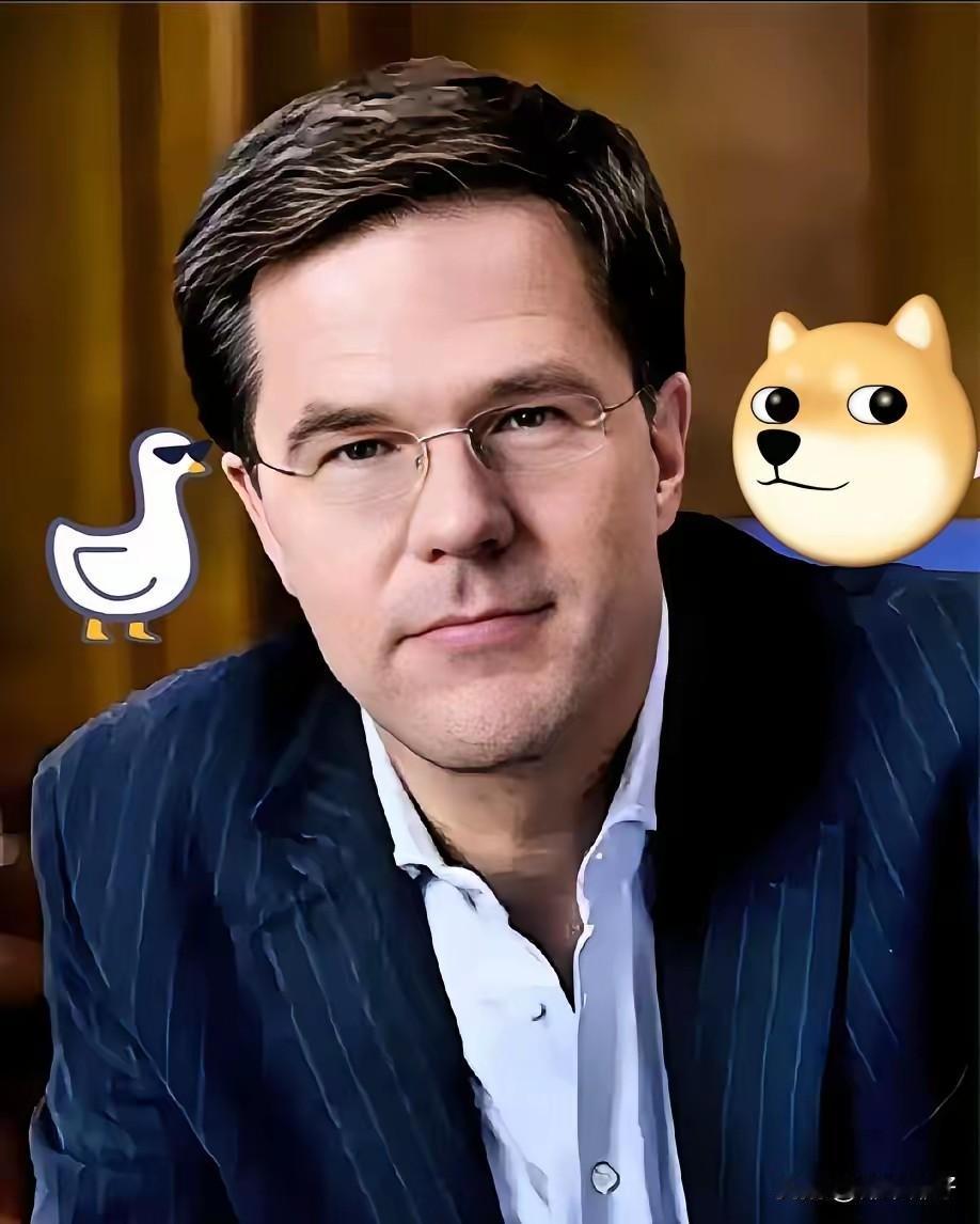 就在昨天
荷兰正式宣布!
10月31日荷兰安世在次确认向中国东莞工厂断供晶圆，理