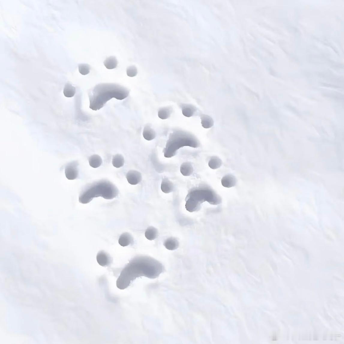 ─ ─ ─ ─ ─ ─ ─ ─ ─ ─ ─ ─ ─૮‿︵꒷꒦┈┈┈꒰ ♡ ꒱┈┈