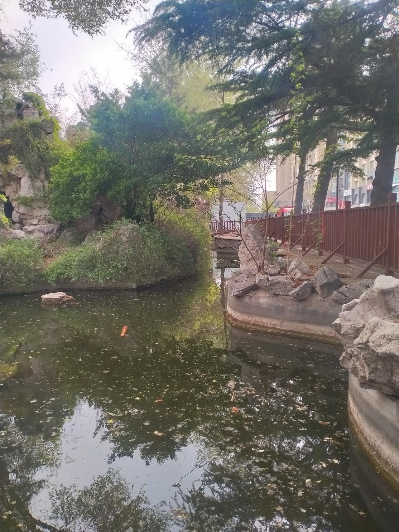 超赞美图分享美景随手拍。