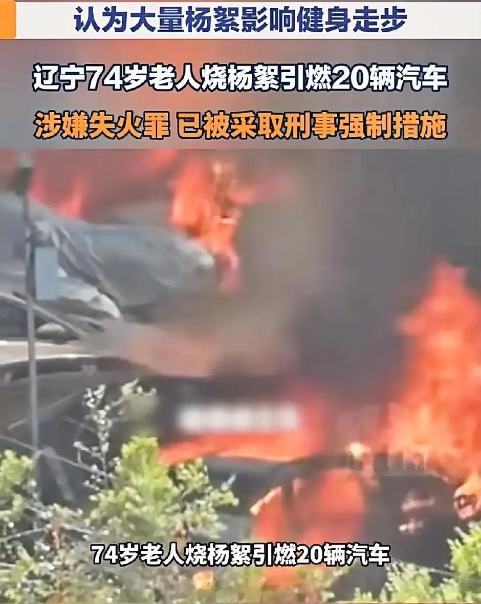 谁能想到一个74岁的老人竟然能闯出这么大的祸，不仅自己被刑事拘留，恐怕就连这一辈