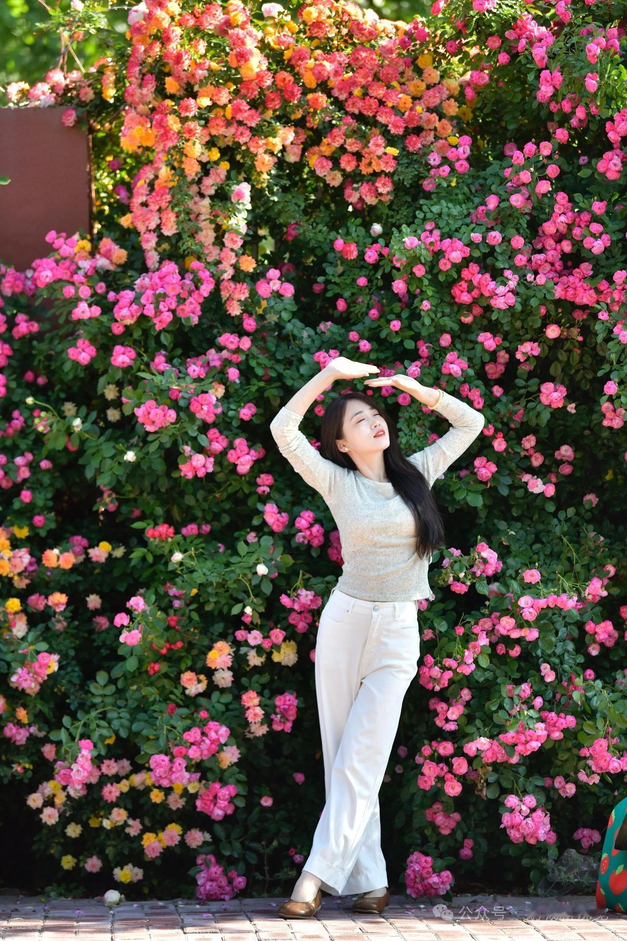 五月的花