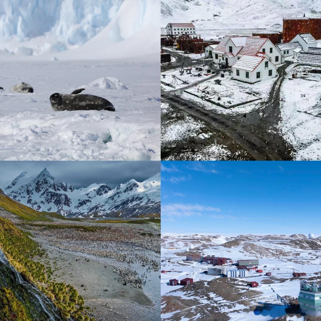 每个人都是自己的极地 南极vs北极，90%的人都分不清的极地冷知识。同样是地球尽