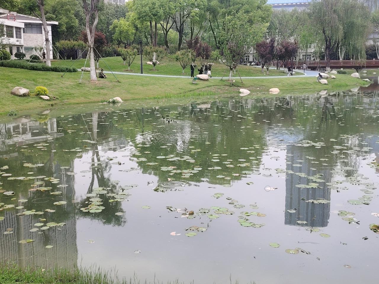 青青河边草[灵光一闪]