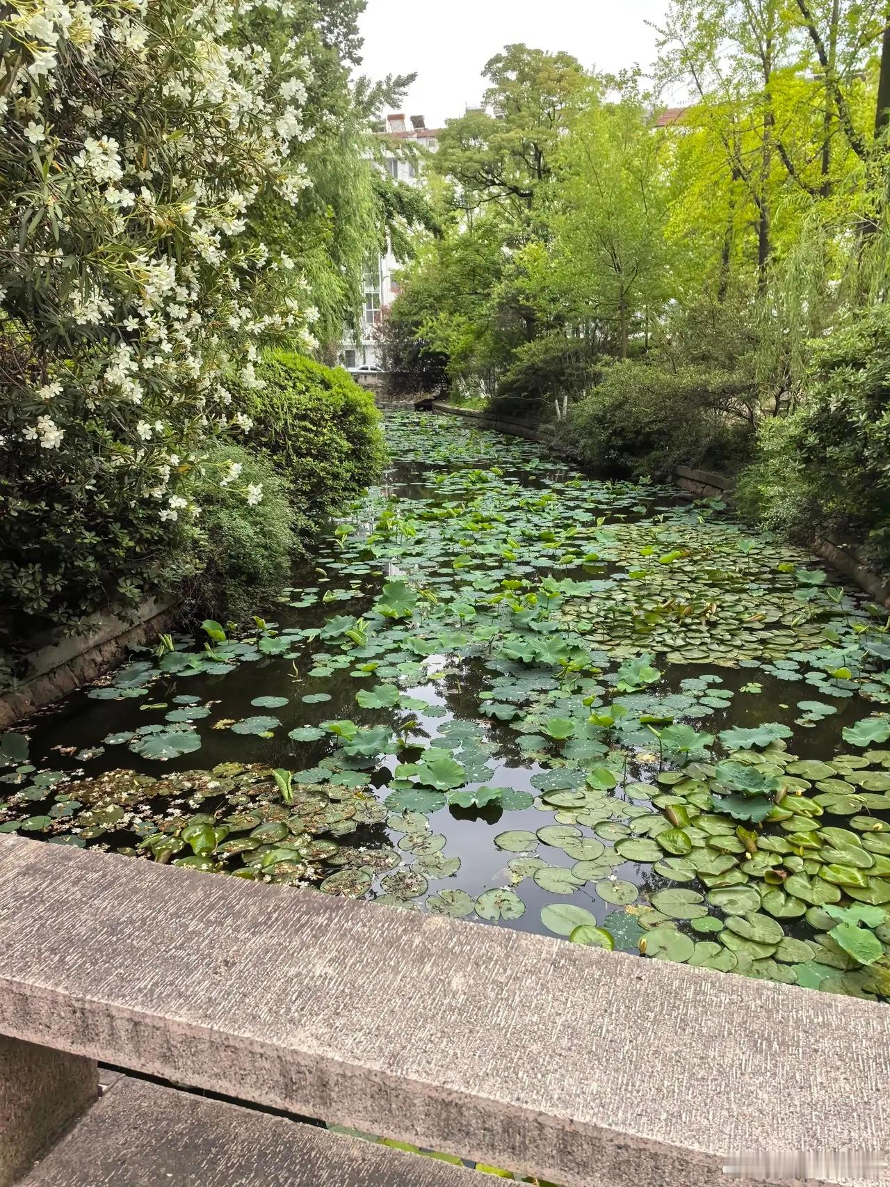 大道至简1. 解决问题的最好办法：拖。2. 交朋友的最好办法：淡。3. 赚钱的最