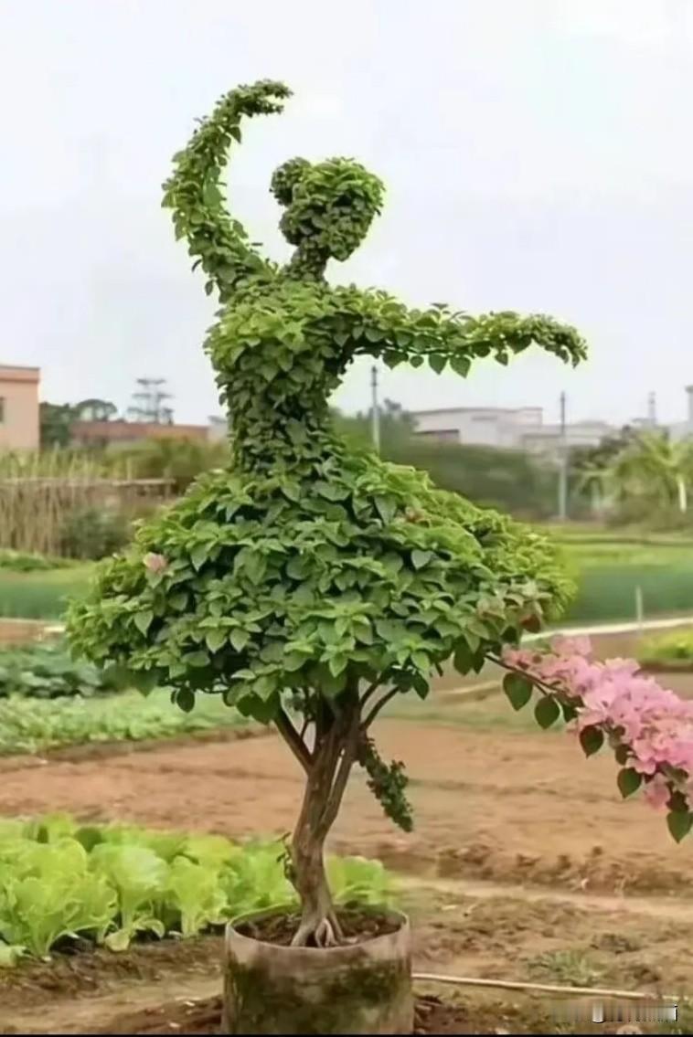 吃饱睡好，

不焦不躁。

远离头条，

快乐到老。