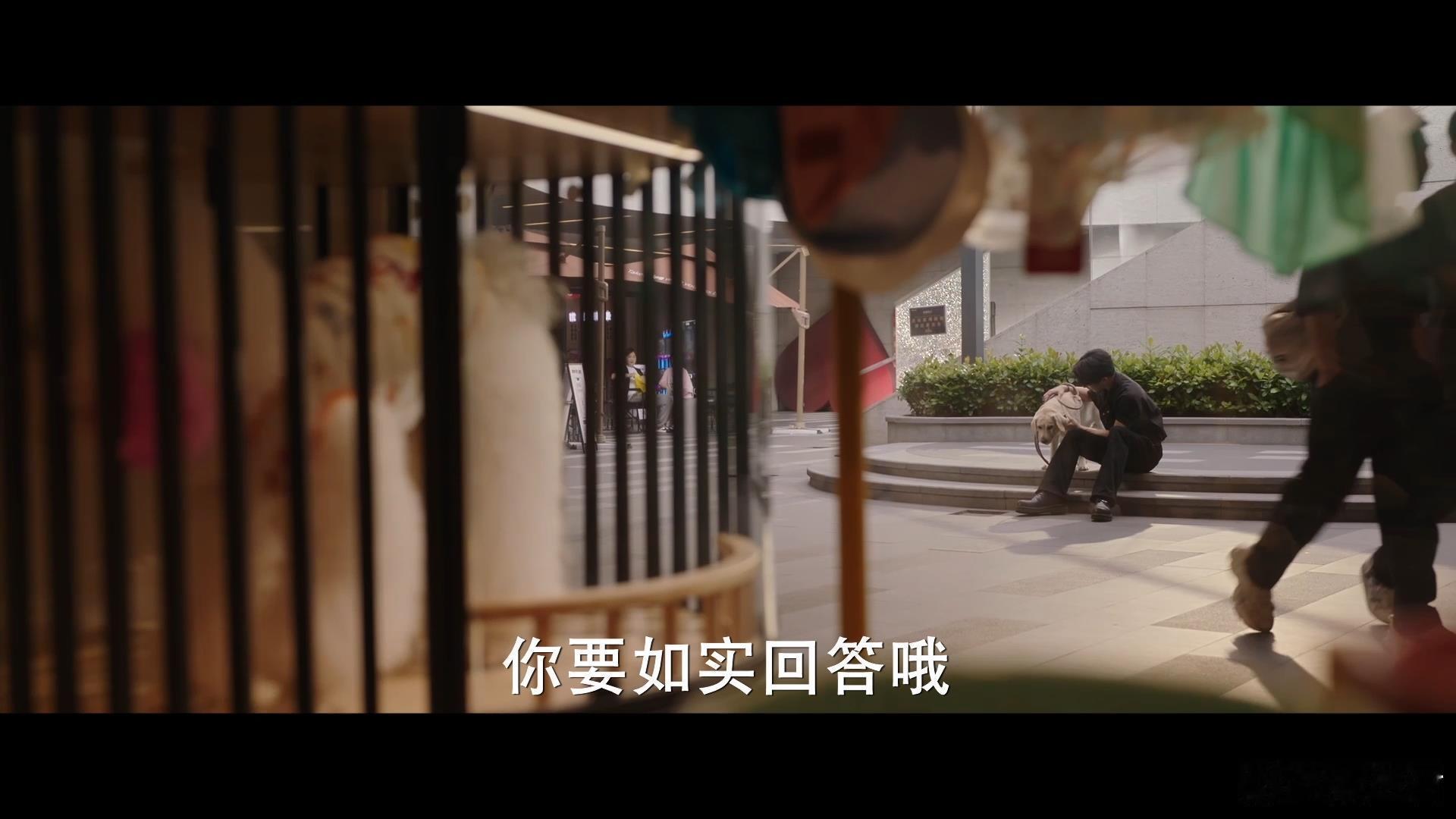 夏之光新剧给狗相亲 救命！夏之光新剧剧情太上头，居然给狗当起了相亲中介！拿着翻译