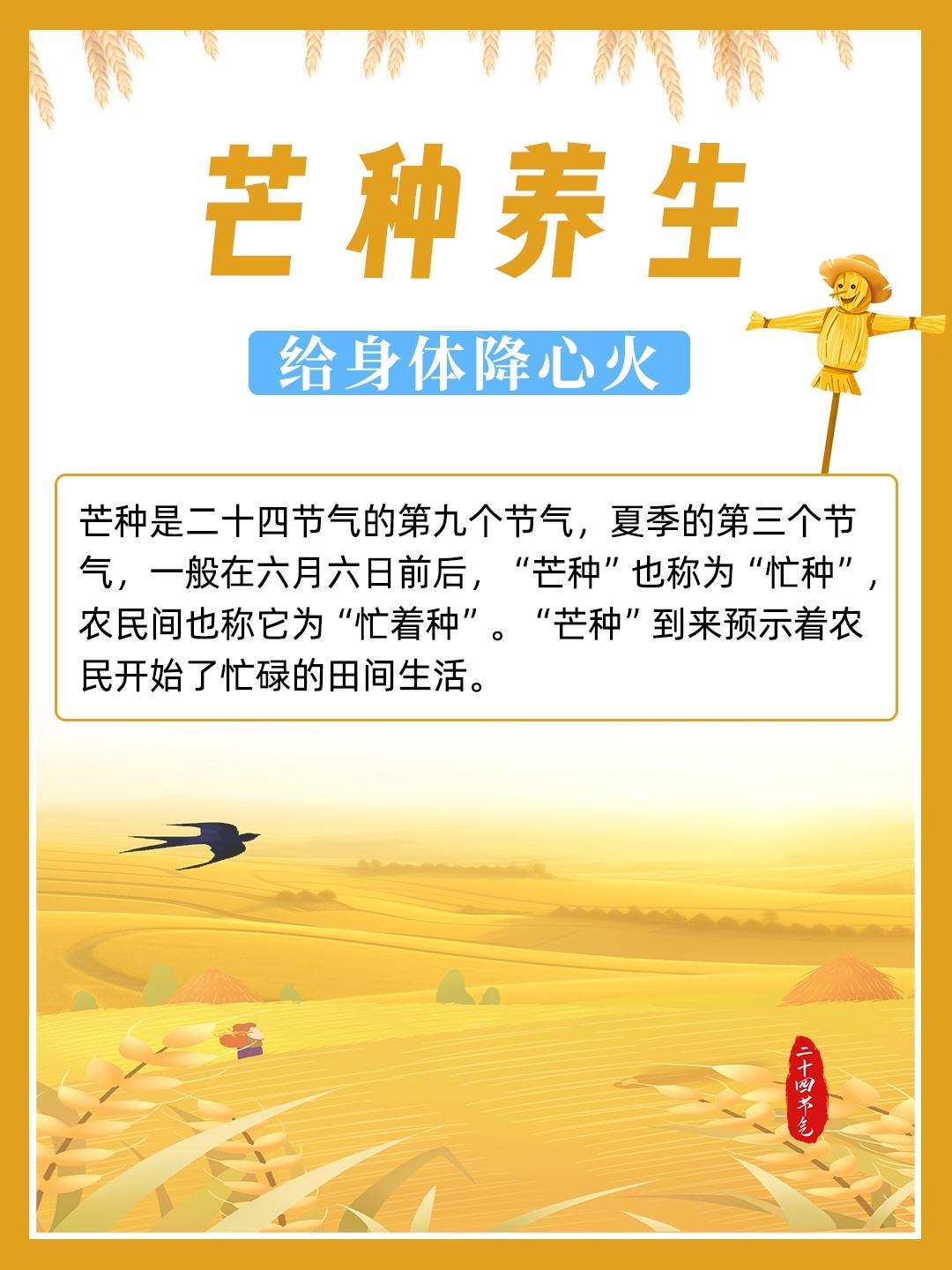 今日芒种，养生记好这四个原则。
