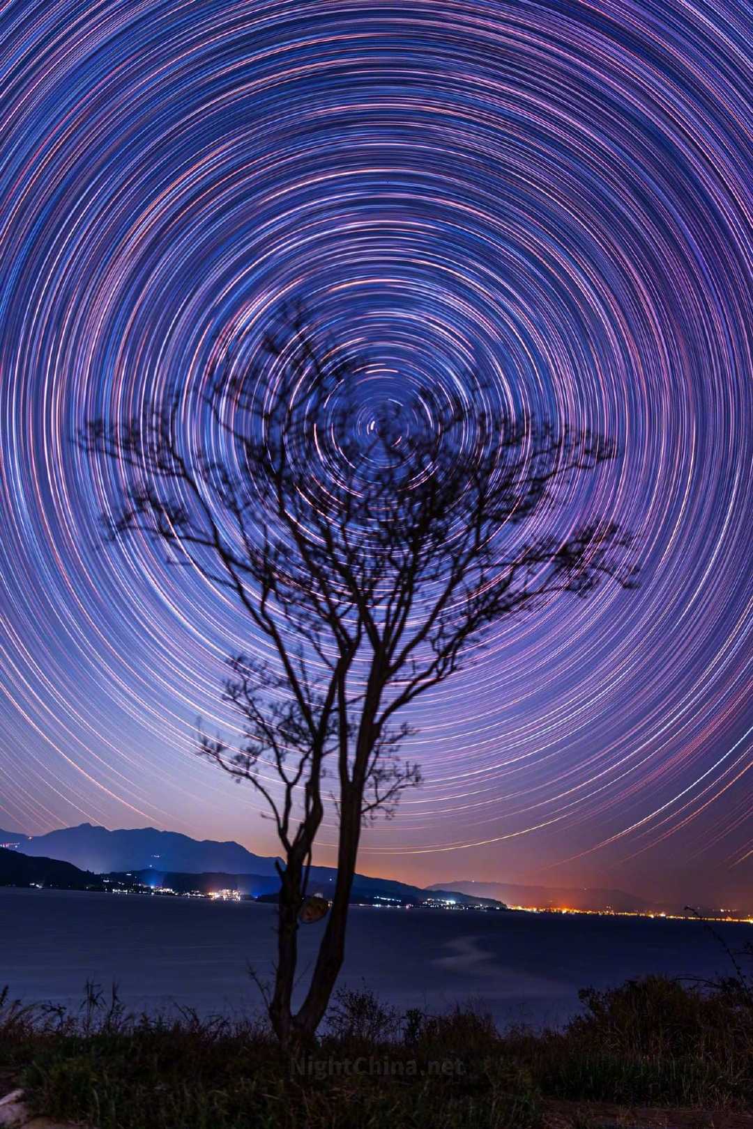 万籁俱寂，一棵树守候在抚仙湖边，应答着每一转星轨的起落。星光如雨，循着韵律勾勒出