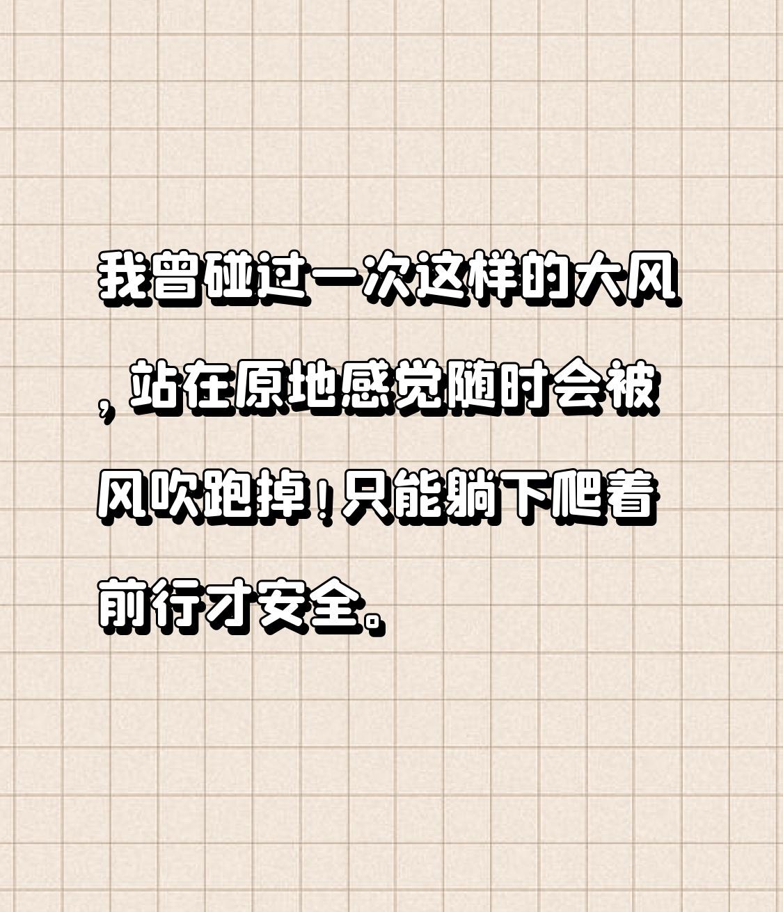 我也经历过这种恐怖的大风！有次台风天，我出门去取快递。刚走到小区门口，那风就跟疯
