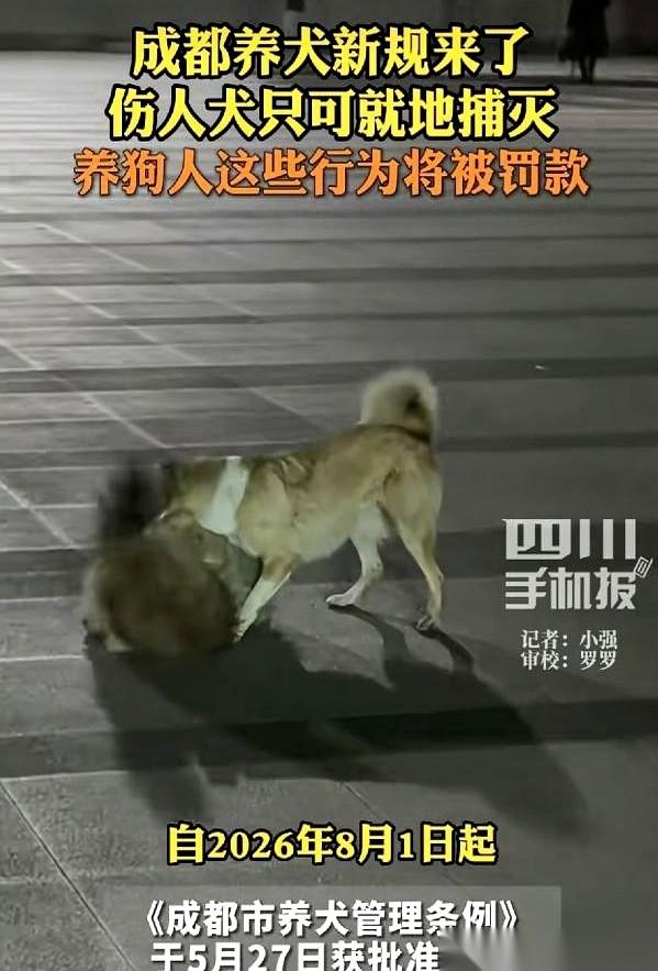 成都养犬新规，8月1号落地，其中最狠的一条，不是罚款，而是直接把一项权利，给了路