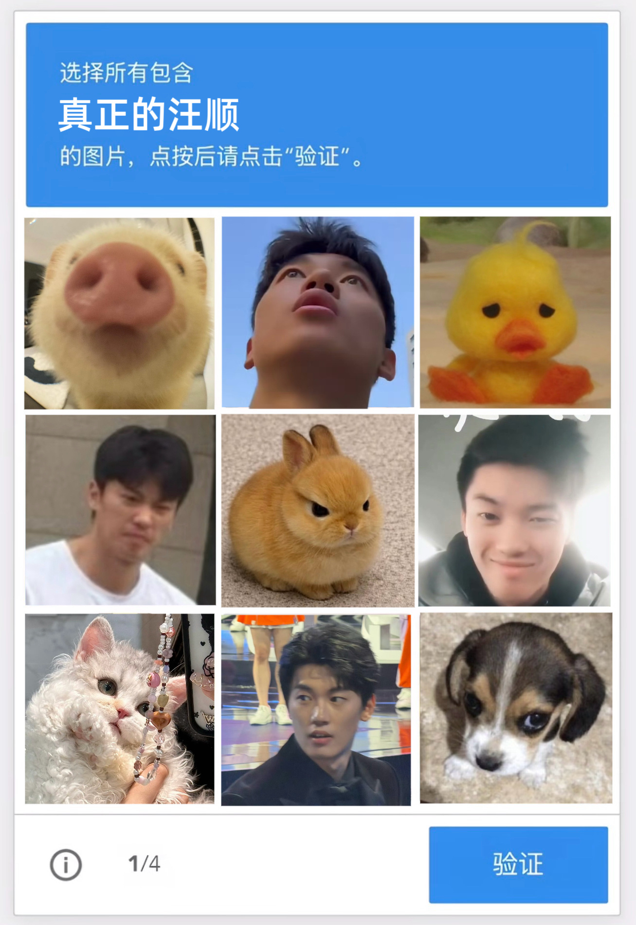 请选择所有包含真正的汪顺的图片！ 