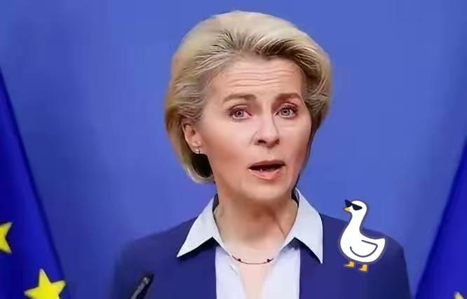 冯德莱恩:基于实力出发对话，侵略者才听得懂。2月13日，欧盟委员会主席冯德莱恩在