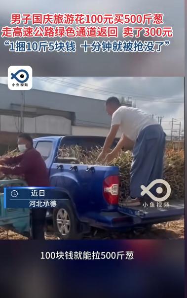 “赚大发了！”北京一男子开皮卡车带家人到承德游玩，路过一片葱地，得知只要2毛1斤