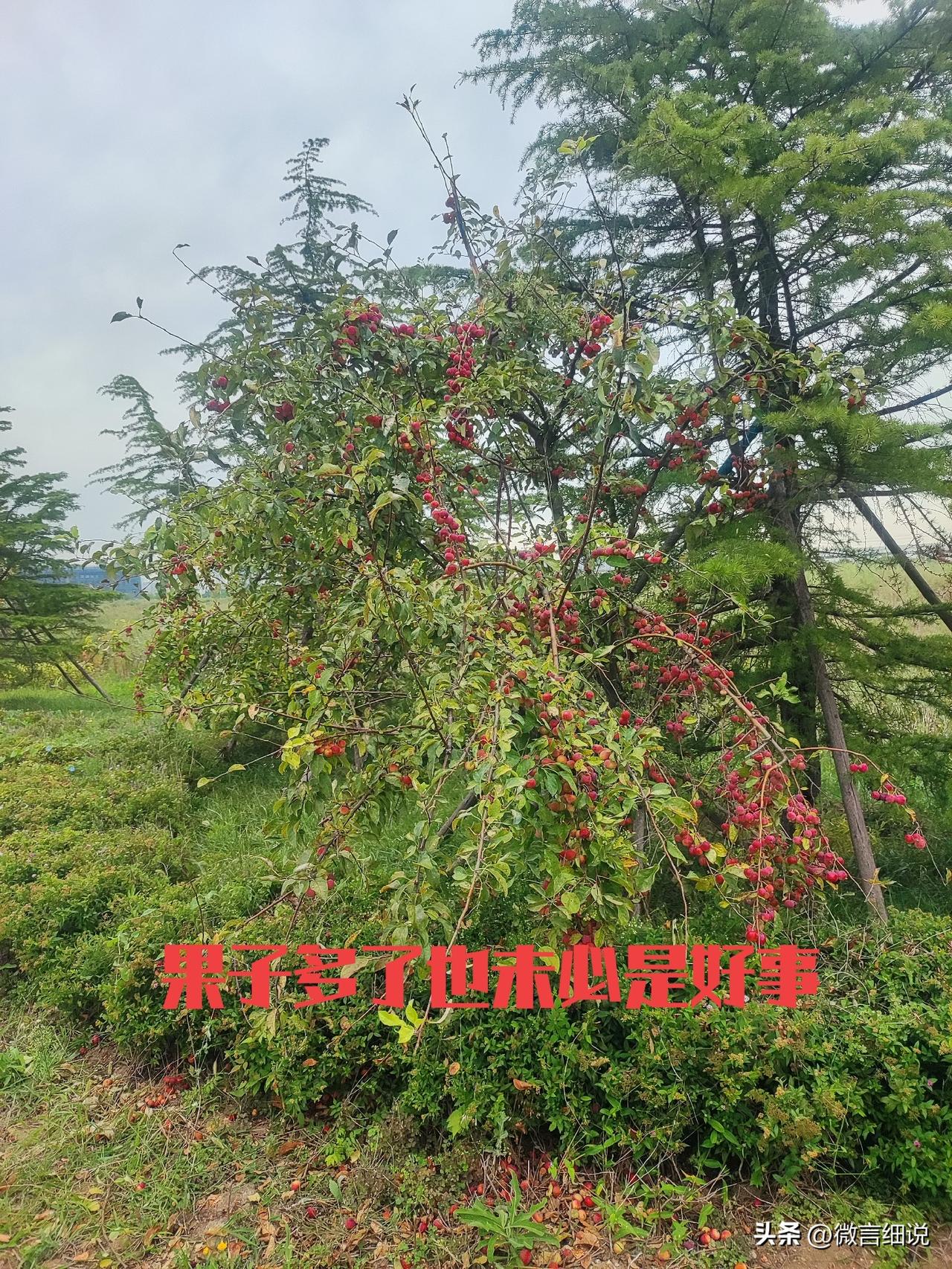 哭如果能解决问题，我愿意一天哭三遍。