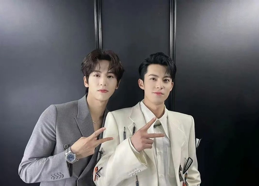 王鹤棣和张凌赫谁的脸型更帅更有辨识度呢？ 