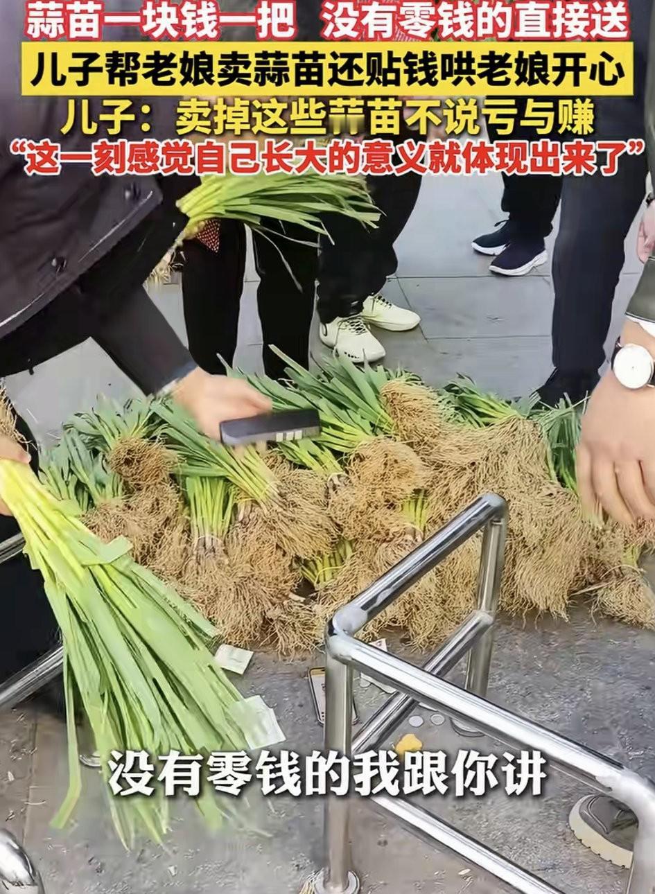 贴心了。安徽蚌埠，一男子发视频分享，家中65岁的母亲种了一亩多地的蒜苗，但成熟后