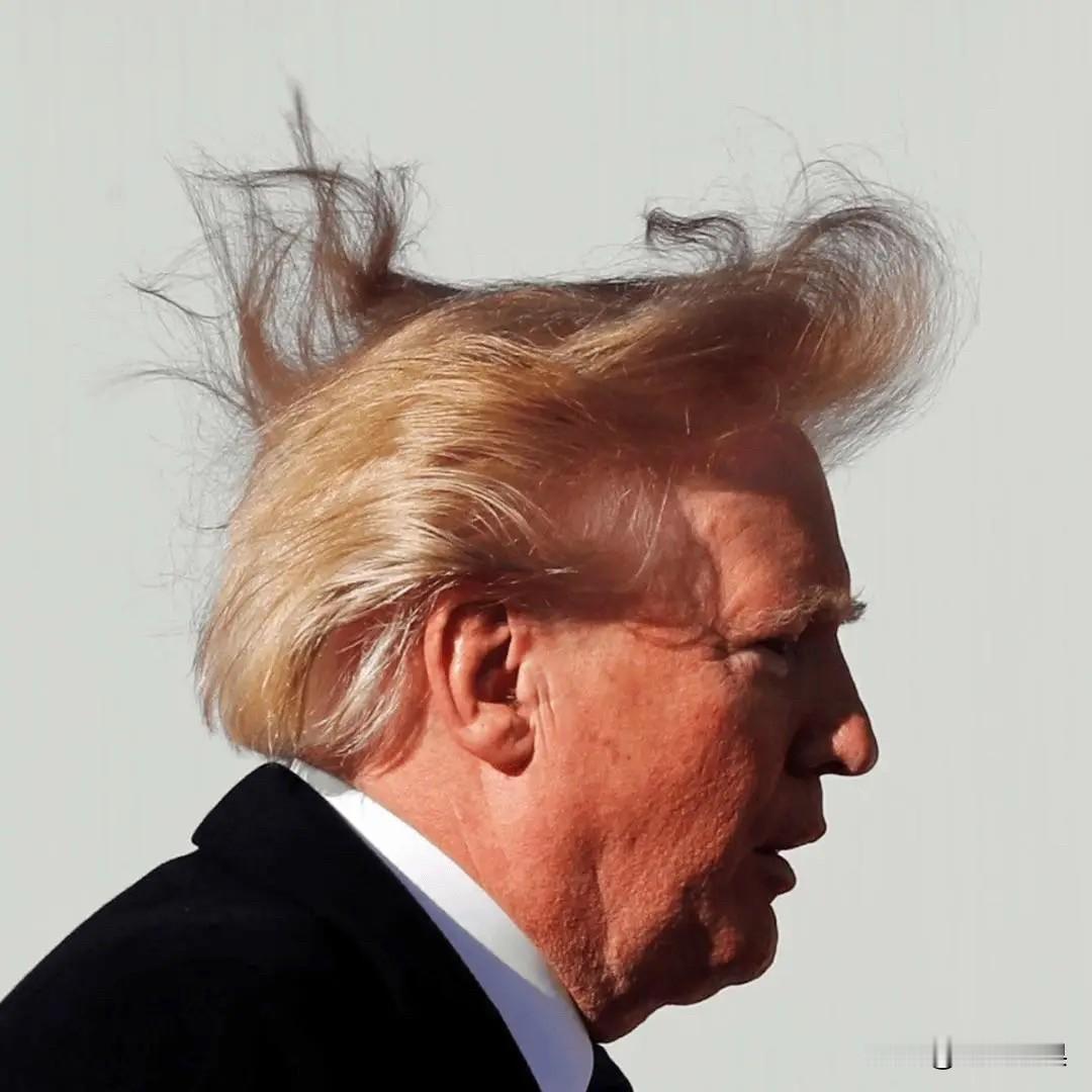 美国的丑陋不是一点点！

日本眼见撑不住劲的时候，美国跳出来了，总统签署涉台法案