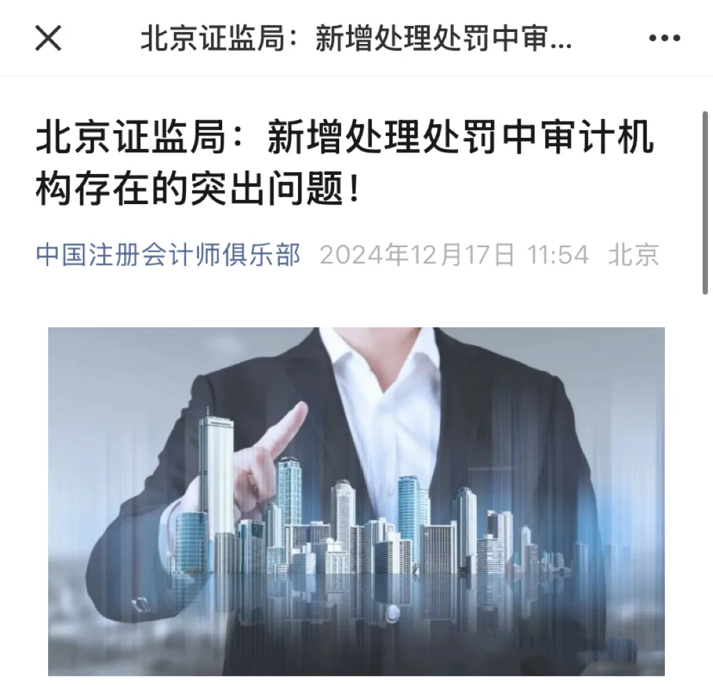 新增处理处罚中审计机构存在的突出问题！