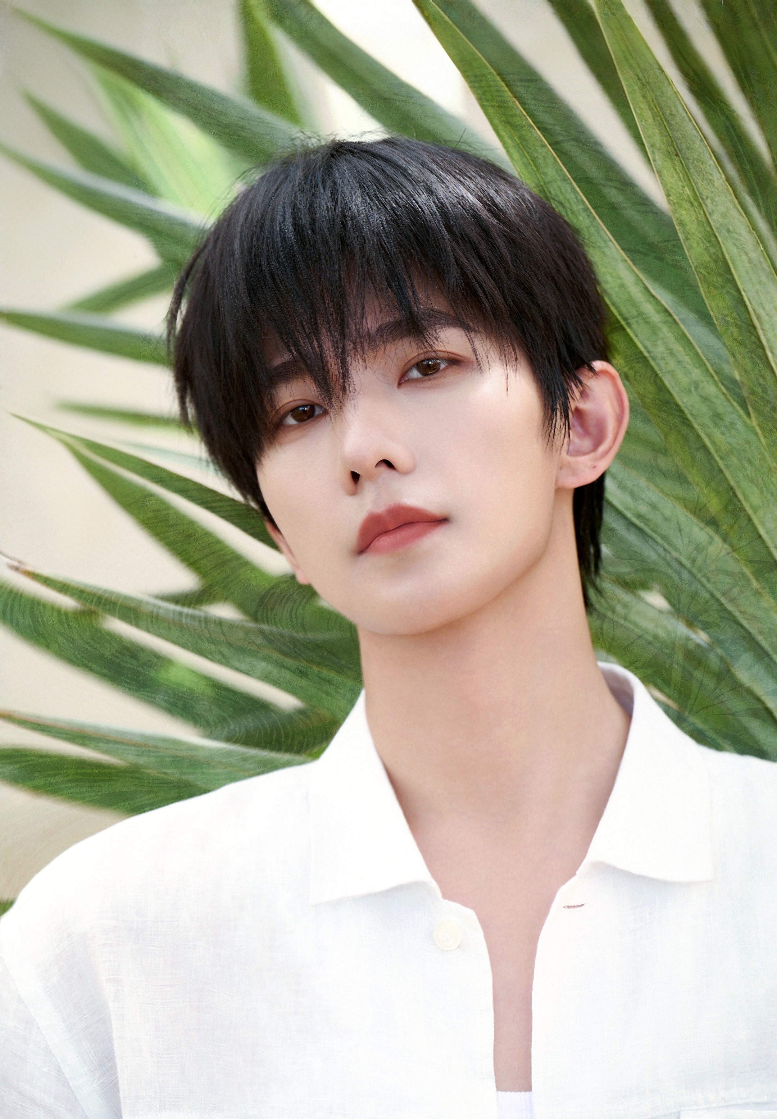 杨洋 端午安康吖 