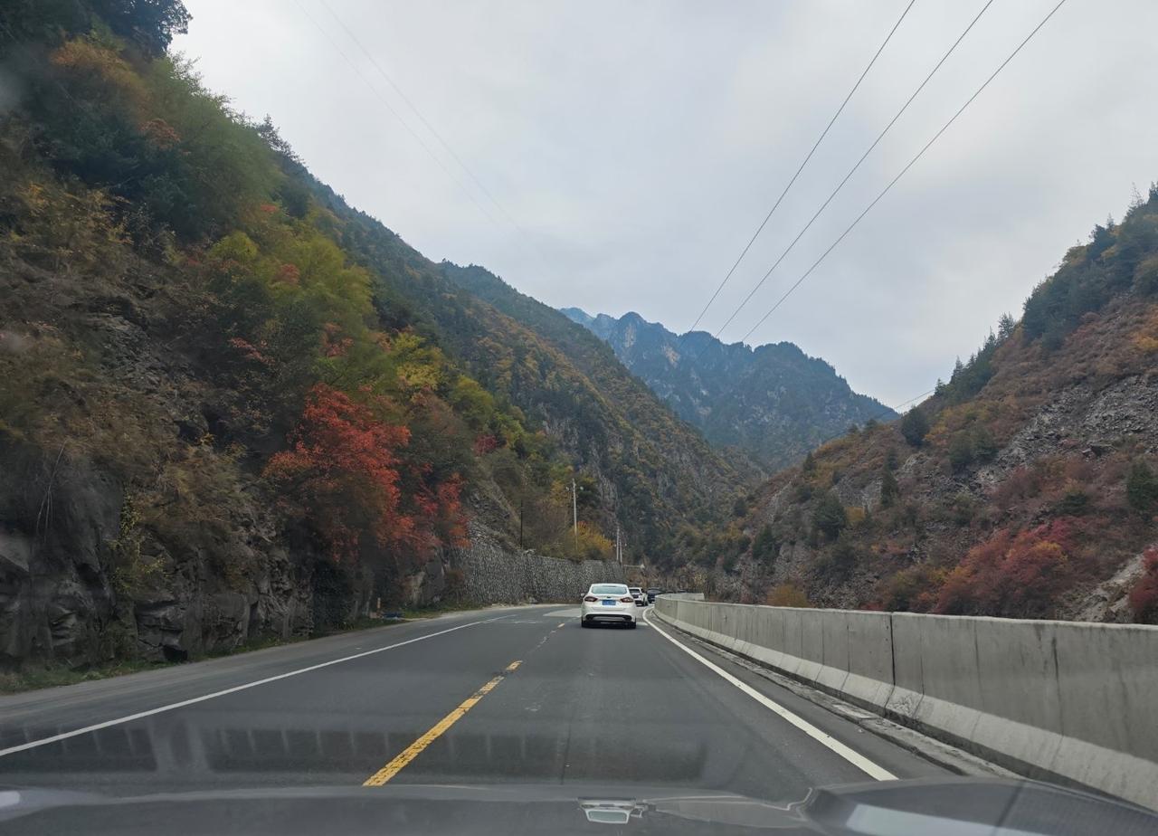 极限一天
挑战毕棚沟
真是多彩的秋天
层林渐染的毕棚沟太美了👏👏
今年第一次