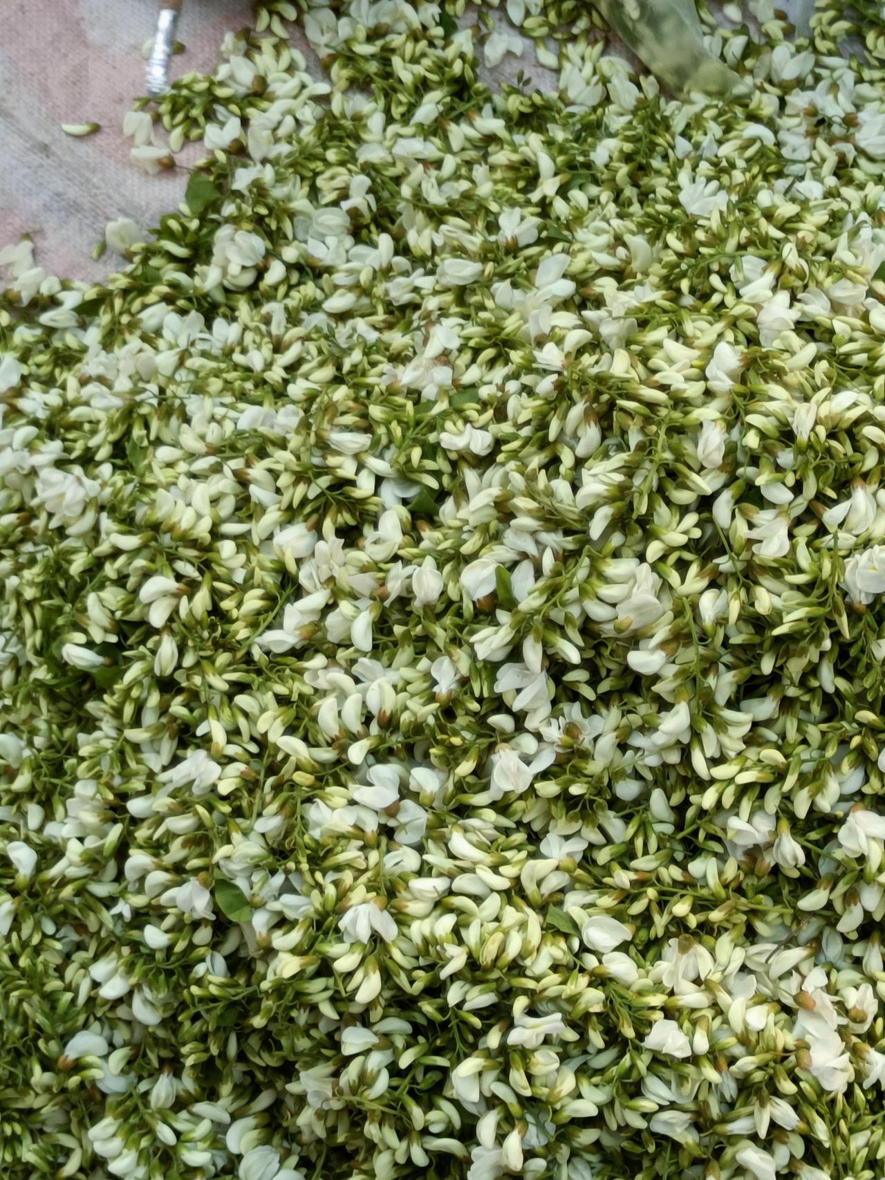 只有北方人才知道这种美食的含金量吧！[灵光一闪]
最近西安天气正好，又是到了吃槐