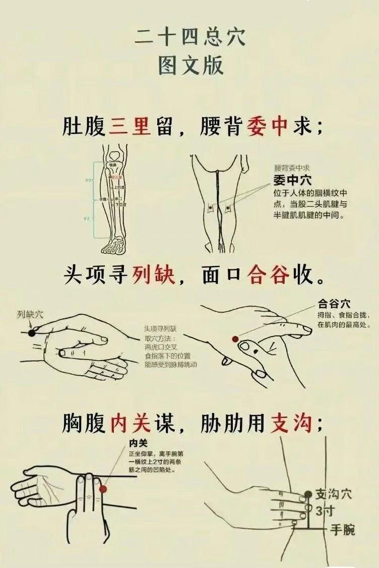 二十四总穴，一定要记住，拿走不谢！ ​ ​​​