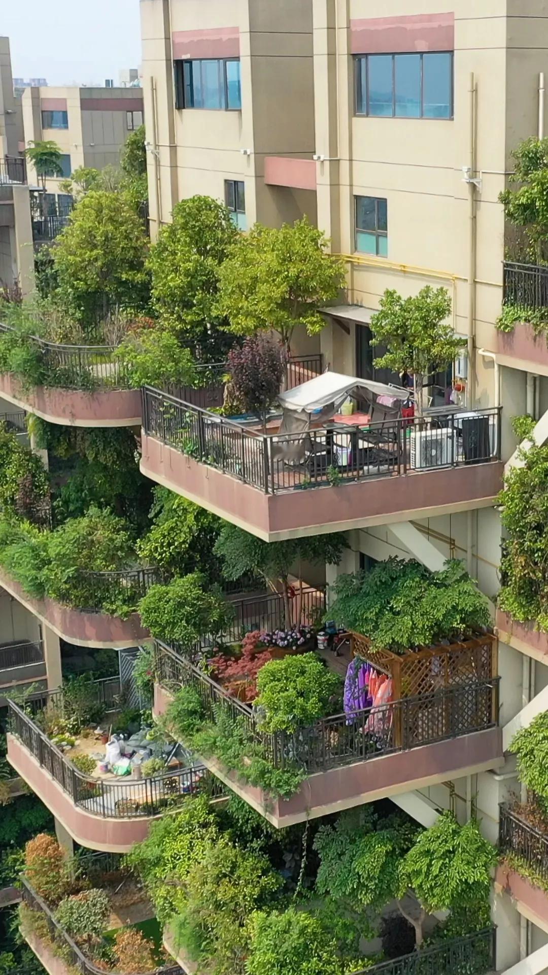 现在为什么越来越多的第四代住宅出现在每座城市
第四代住宅，你看好吗你会喜欢第四代