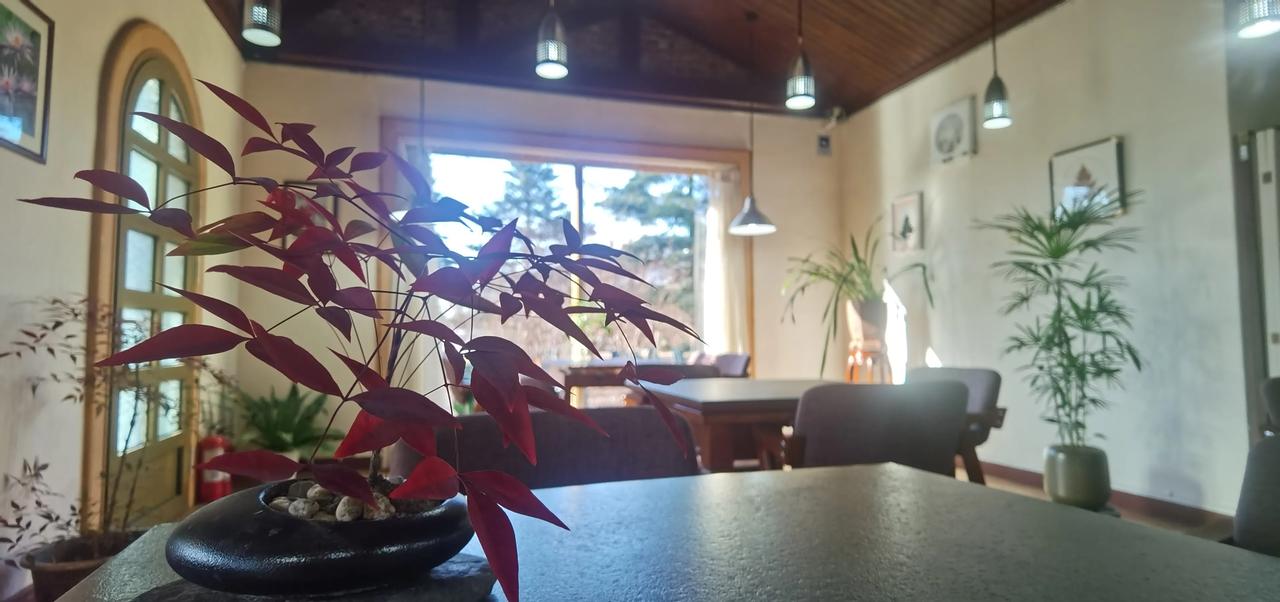 古味茶馆，绿植点缀，自然宁静。