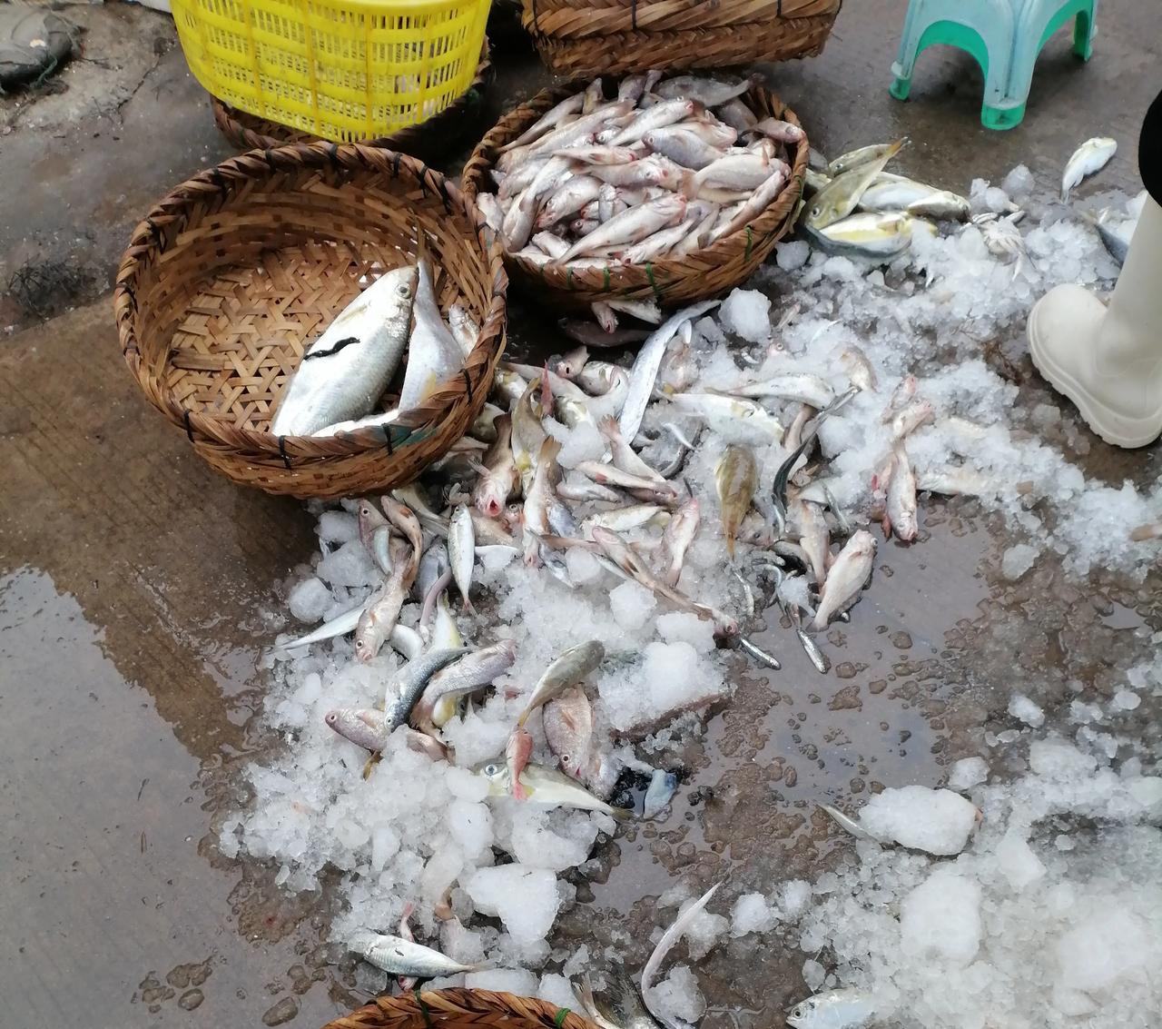 随手拍旅行去码头转了一圈，比菜市场还贵！