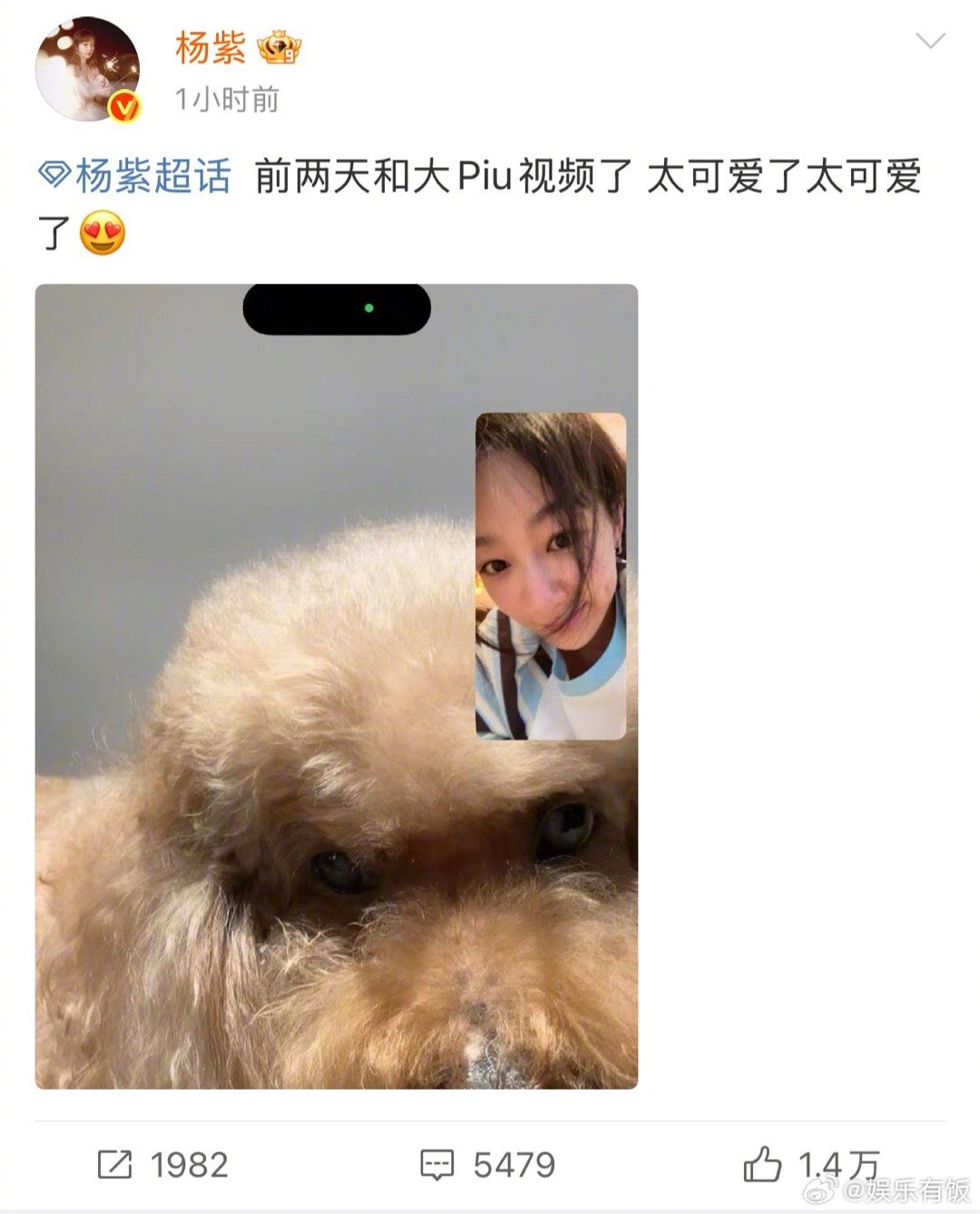 杨紫和狗狗视频电话 晒出和狗狗大piu视频电话的截图，图上有一人一狗都很可爱[哇