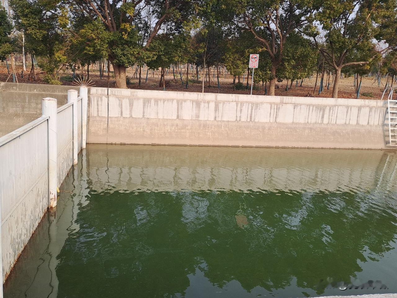 晒图笔记大赛这里的水好干净，没有一点垃圾漂浮物。