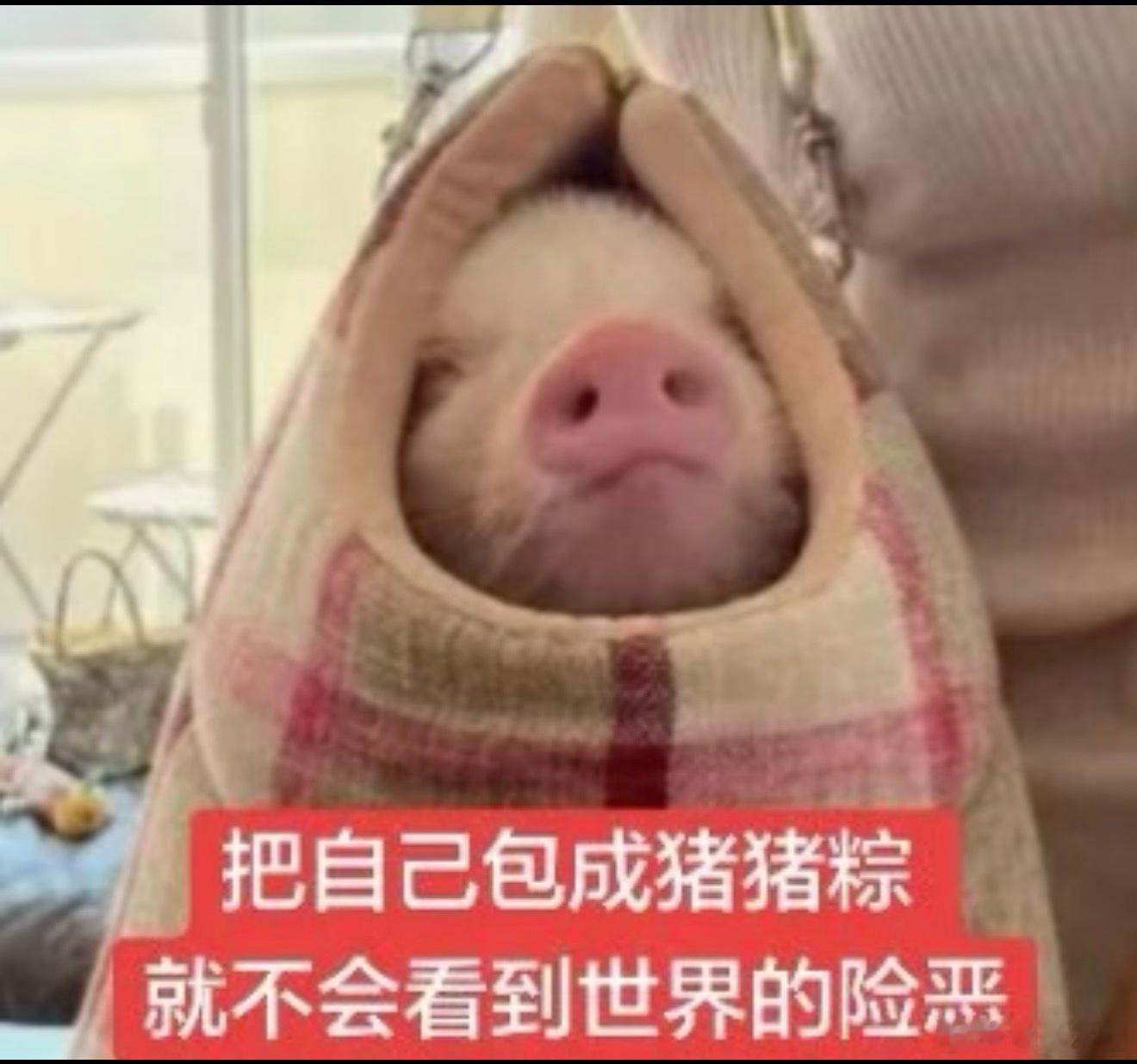 管你是谁欺负我孩子的都该厶张极05后第一男歌手 ​​​