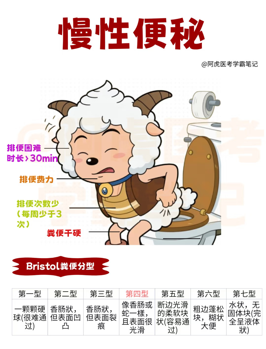 医学生笔记📒：慢性便秘怎么办?👆