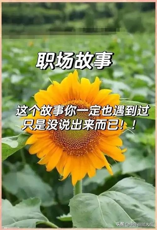 老李看着随和，却藏着一身真性情。遇上不公与委屈，从不会曲意逢迎，即便面对领导，也
