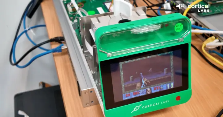 脑细胞组成的计算机跑起了《毁灭战士》！代码全部开源