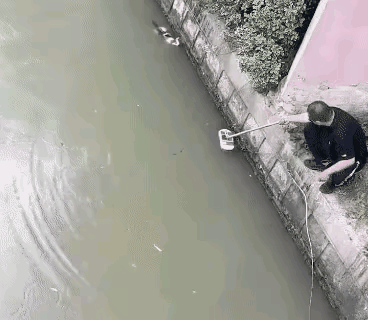 河水之中一只猫咪不慎落水，在水里苦苦挣扎许久，爪子不停扒着岸边却始终无法上岸，体