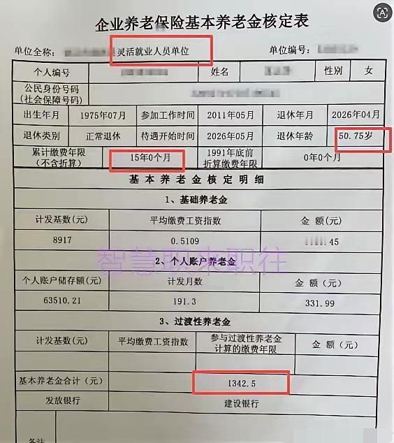 企业单位养老保险金审核表，有这样的单位真好