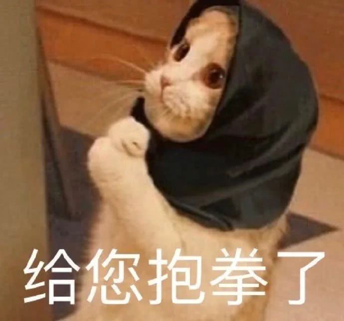 SSR交换站 xinxin背景图普网页链接蓝普网页链接紫稀网页链接稀网页链接稀网