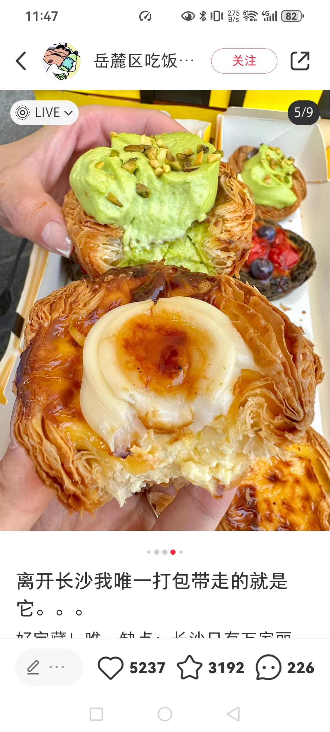 卧卧卧！嘉兴终于也有了！