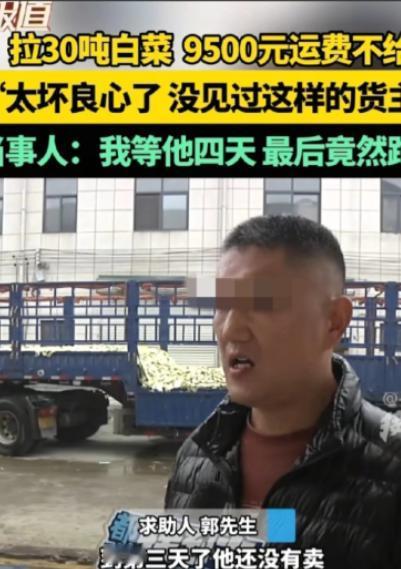 脸都不要了！11月9日，河南，一男子从内蒙订了30吨白菜，并承诺到时给货运司机9