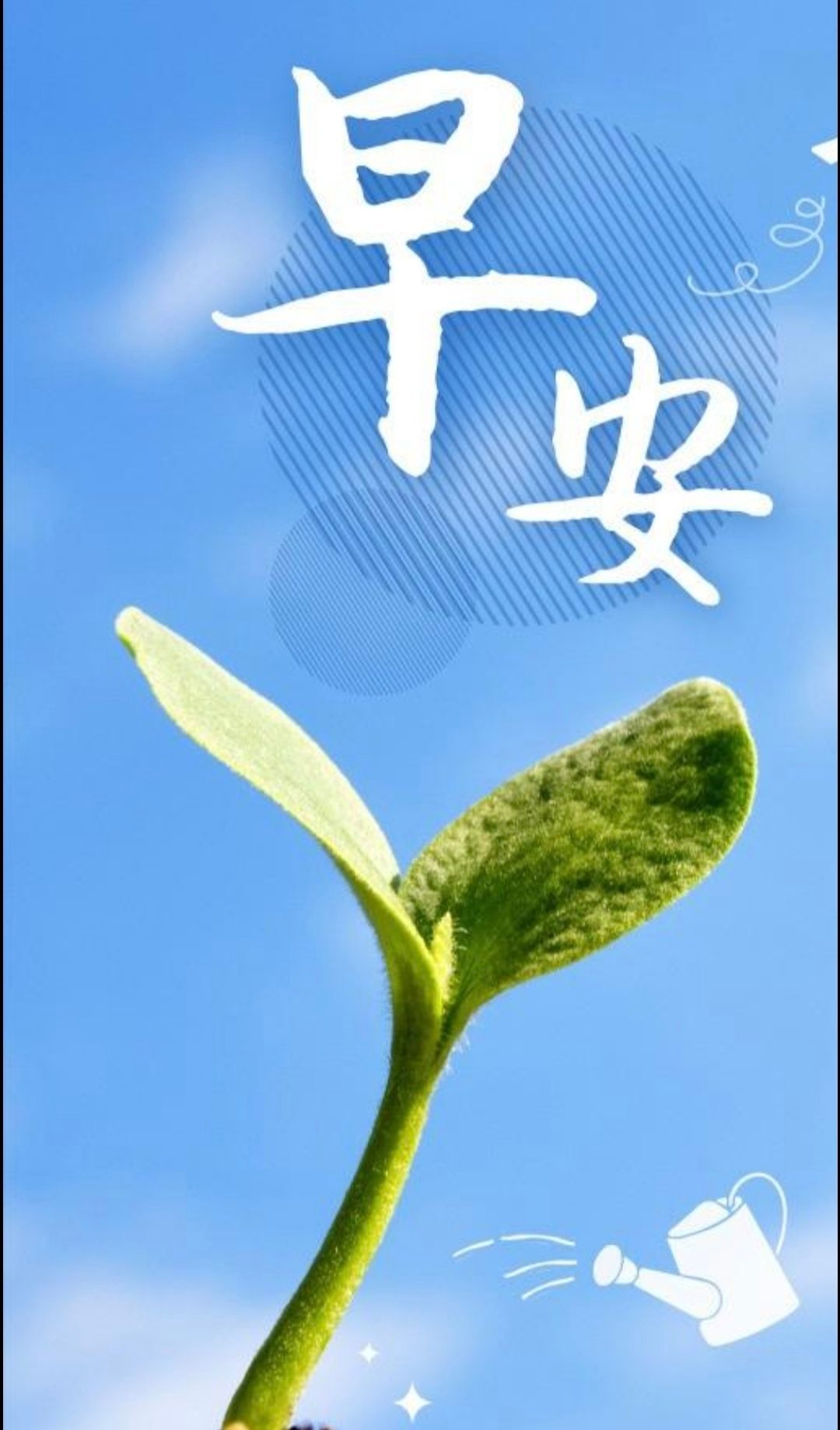#阳光信用[超话]##阳光信用##每日一善# 清晨，是一个希望，一个梦想。不管昨