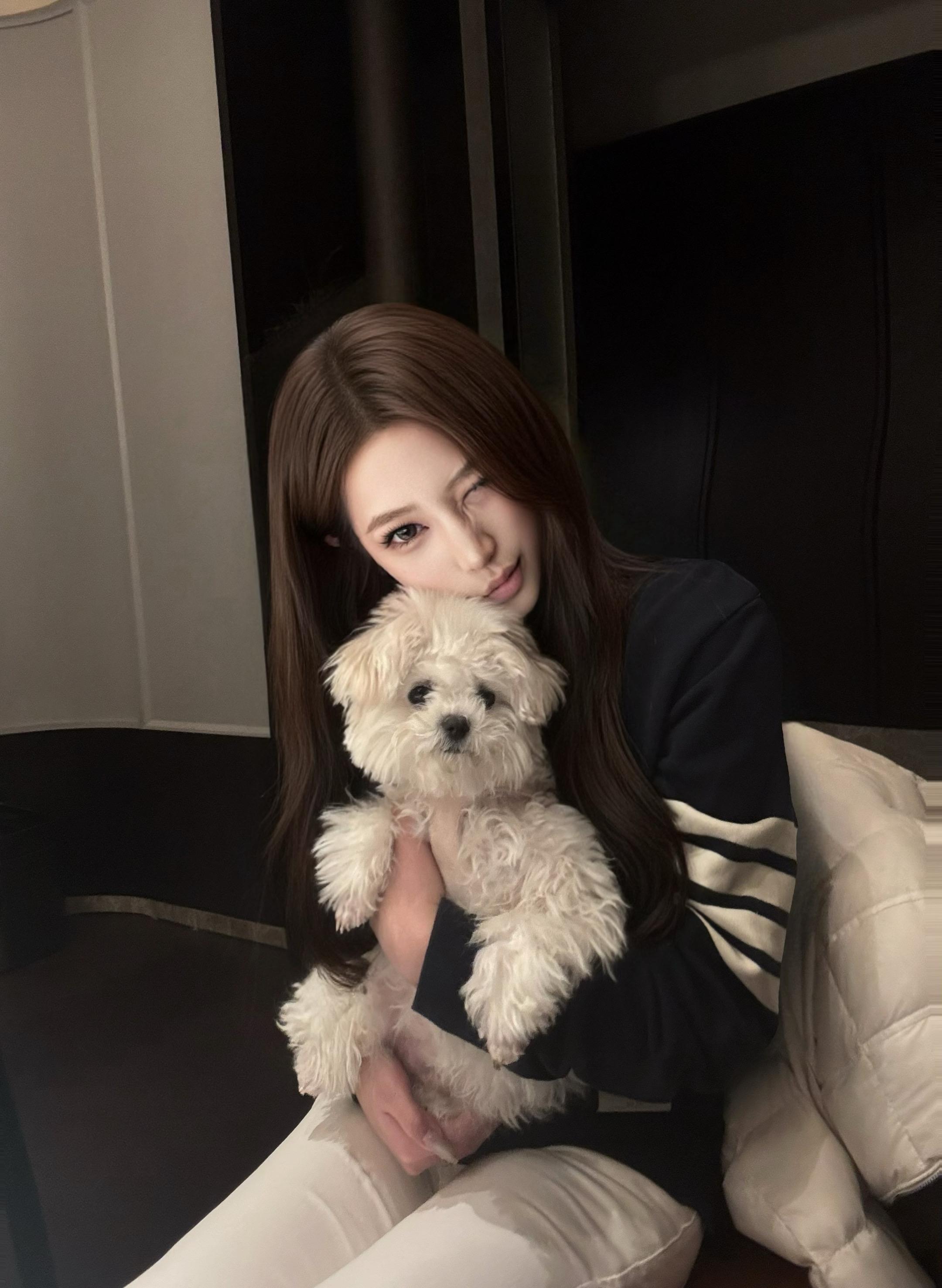 再次面对同样的伤害时 我愣了 很恍惚 明明都那么挑剔了 还是看错了人