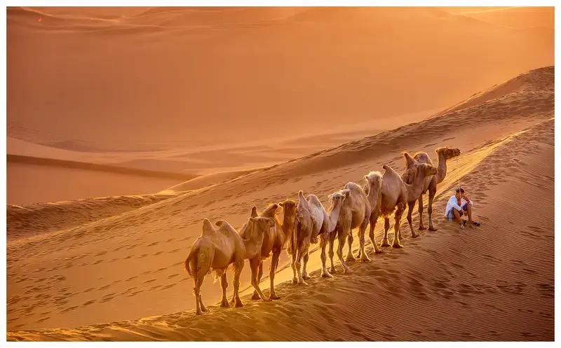 开头驼铃响，沙漠之境涌心上！
歌声悠悠飘，周边悠悠扬！！
随声景况，深感沙漠上。